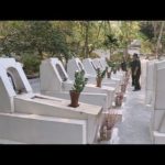 War veterans recall days fighting for the motherland