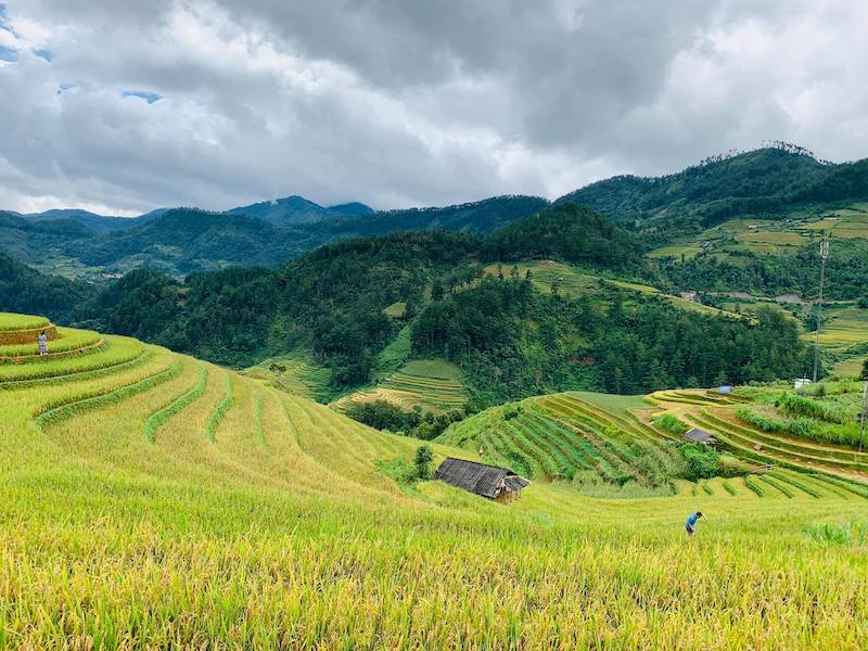 Vietexplorer.com - Vietnam’s Rice Terraces Listed Among 50 Most ...