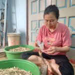 The Unique Village that Makes Bamboo Dragonflies