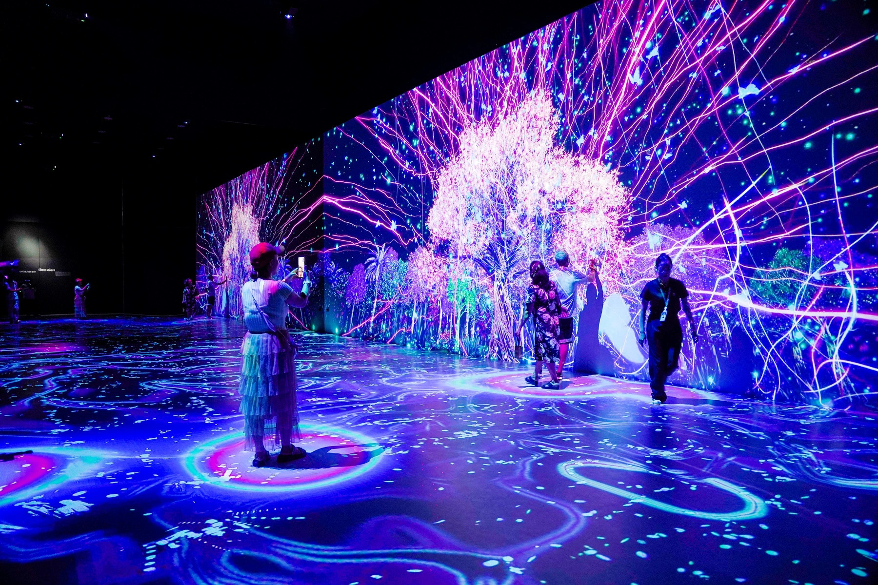 Vietexplorer.com - Vietnam unveils its inaugural digital art space in ...