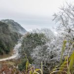 Frozen White Frost: Northern Mountainous Vietnam