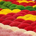 Explore the Enchanting Quang Phu Cau Incense Village in Hanoi: A Sensory Journey into Fragrance