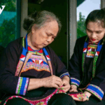 Black Mong Apparel: Elevate Your Style with Timeless Elegance