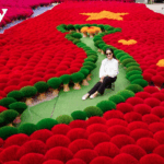 Vietnam’s Top Tourist Destinations Shine on the Global Stage in 2024