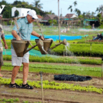 Hoi An Embraces Sustainability: A Green Revolution in Eco-Tourism