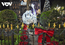 St. Joseph’s Cathedral in Hanoi Shines Brilliantly as Christmas 2025 Approaches