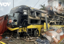 2025 Traffic Tragedies Spark Urgent Road Safety Concerns