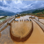 Unveiling Vietnam’s Legacy: The 2025 Heritage Photo Awards Announced