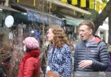 Hanoi’s Spring Flower Markets Set to Blossom in Time for Tet 2026