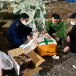 Hanoi Intensifies Measures to Combat Smuggling and Counterfeiting