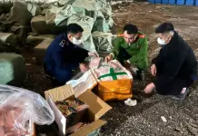 Hanoi Intensifies Measures to Combat Smuggling and Counterfeiting