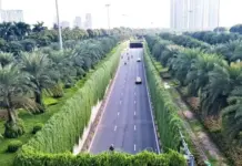 Hanoi to Plant Over 400,000 Trees by 2026, Boosting Urban Greenery