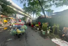 Hanoi to Dismantle 231 Informal Markets in Bid to Restore Urban Order