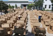 Elevating Rural Brands: OCOP Program Propels Vietnamese Products to New Market Heights